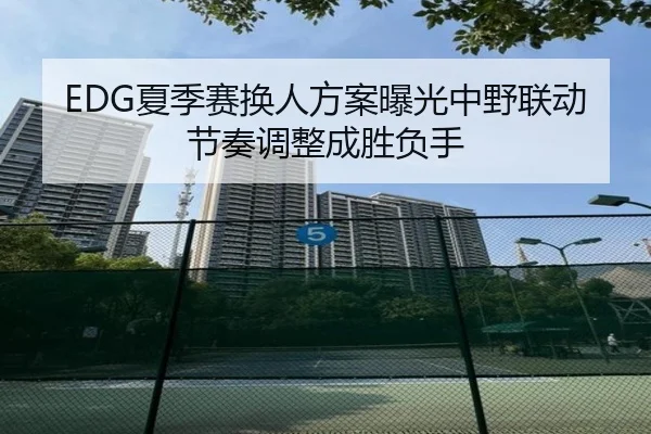 EDG夏季赛换人方案曝光中野联动节奏调整成胜负手 - j9.com